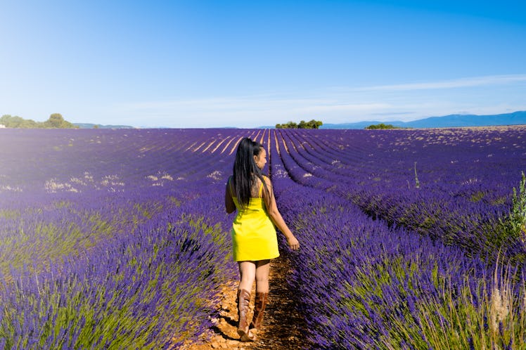 Provence's lavender fields make them one of the best places to travel to inspired by Pantone's Color...