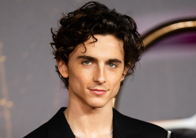 Timothee chalamet