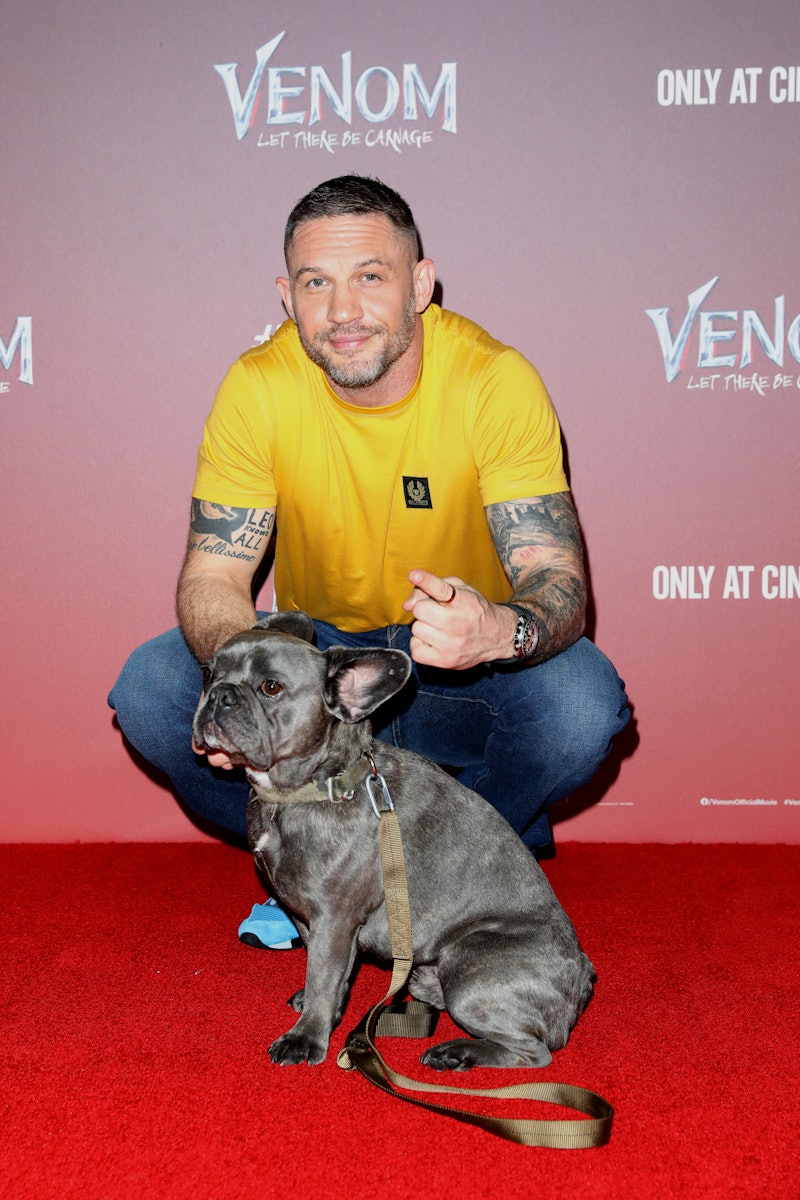 LONDON, ENGLAND - SEPTEMBER 14: Tom Hardy and his dog Blue attend the fan screening of "Venom: Let T...