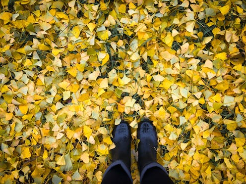 stepping on autumn leaves