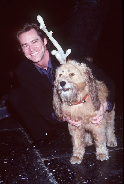 Jim Carrey with Max the dog from 'How The Grinch Stole Christmas'