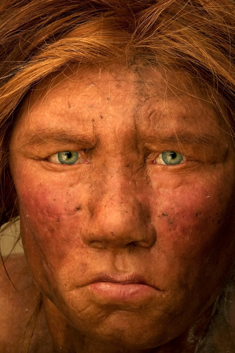 The Neanderthal woman was re-created and built by Dutch artists Andrie and Alfons Kennis. Research i...