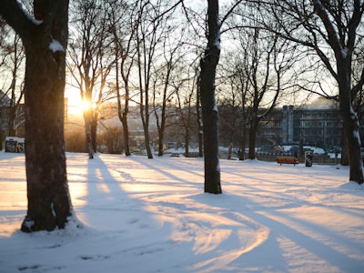 sunny winter day in a park