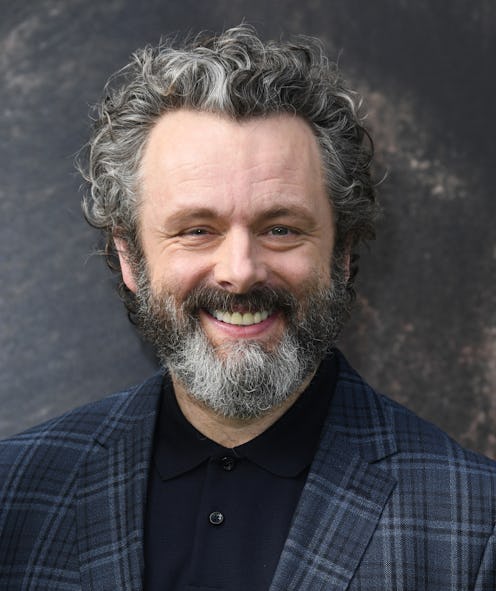 WESTWOOD, CALIFORNIA - JANUARY 11:  Michael Sheen attends the premiere of Universal Pictures' "Dolit...