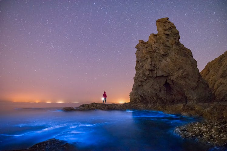 These 2022 travel trends and predictions from Expedia, Pinterest, and Booking.com include biolumines...