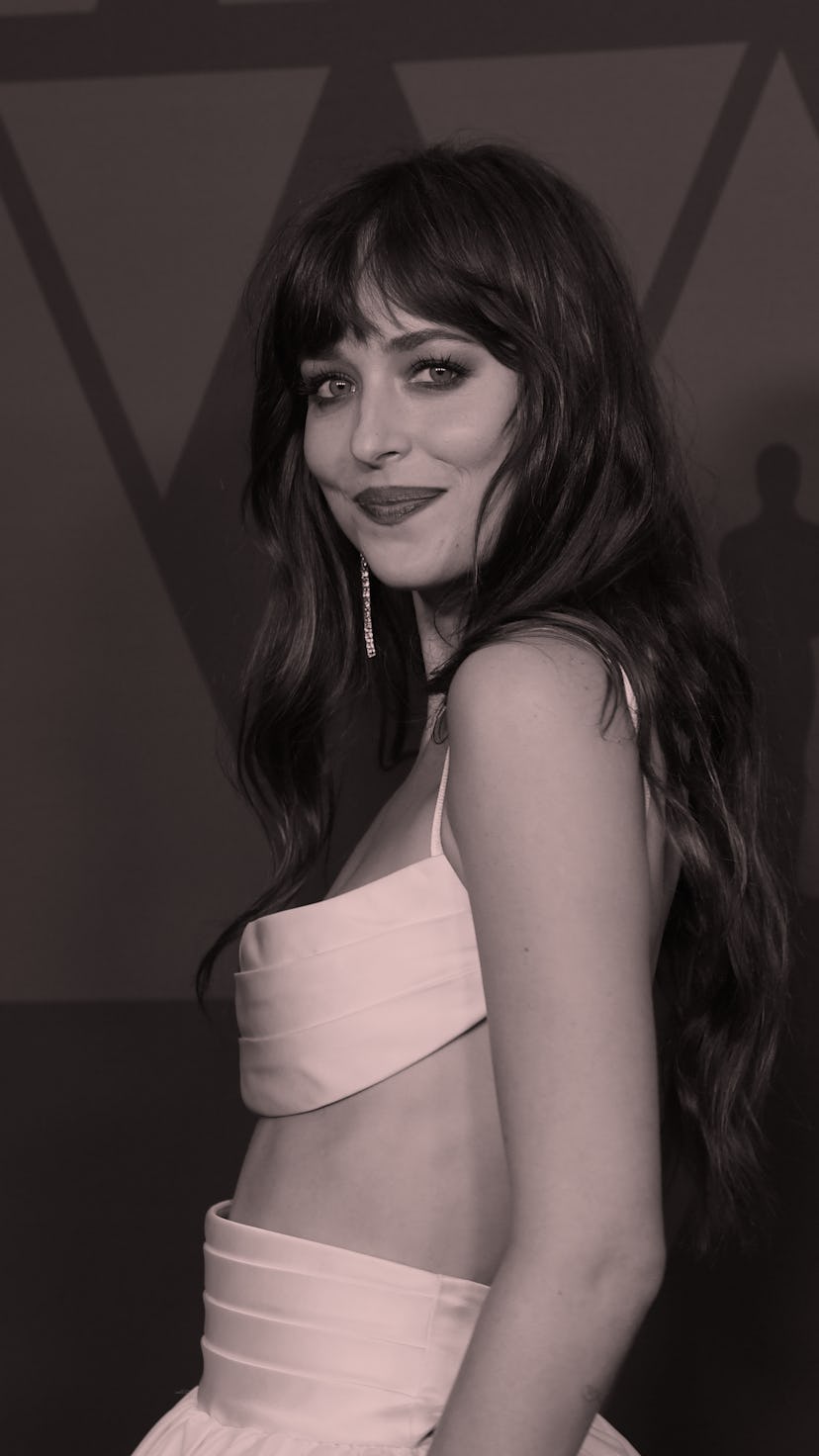 HOLLYWOOD, CALIFORNIA - OCTOBER 27: Dakota Johnson attends the Academy Of Motion Picture Arts And Sc...