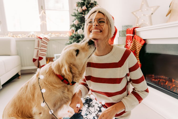 Photo of young woman and her dog enjoying together at home in a Christmas atmosphere with Christmas ...