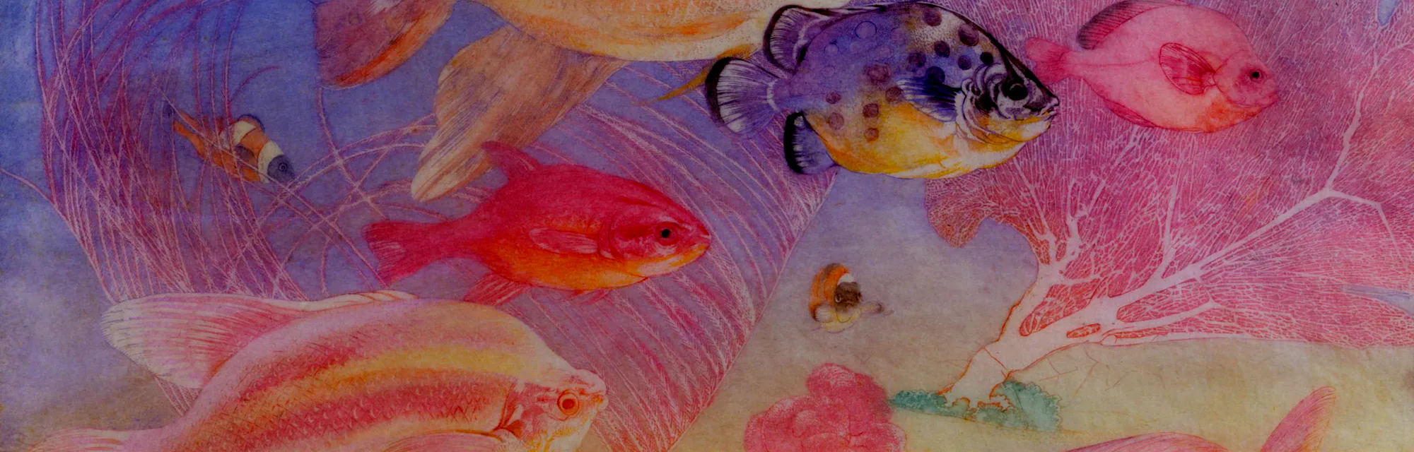 What Do Fish Do At Night 588 Marine Species Reveal Something Surprising what-do-fish-do-at-night-588-marine-species-reveal-something-surprising