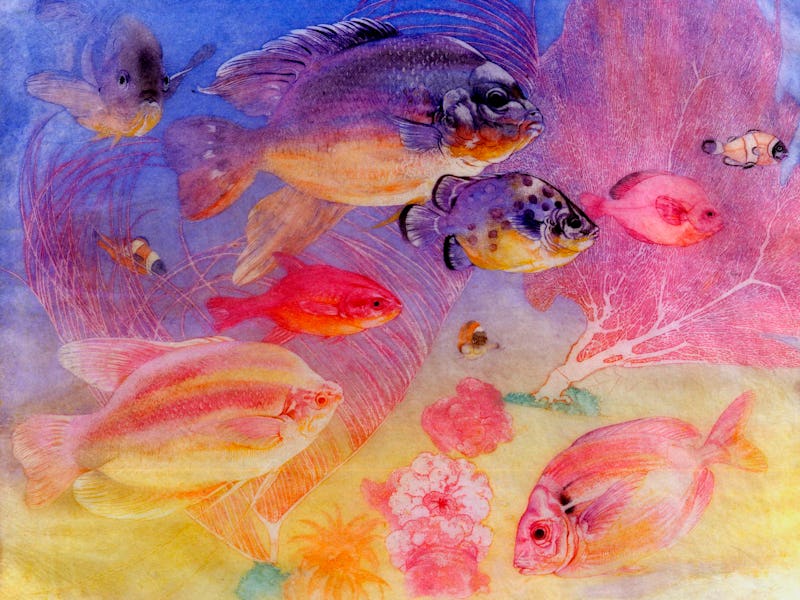 Angel Fish by Edward Julius Detmold (Photo by Fine Art Photographic Library/Corbis via Getty Images)