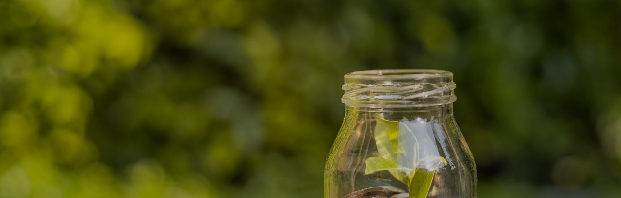 Saving money in the jar.