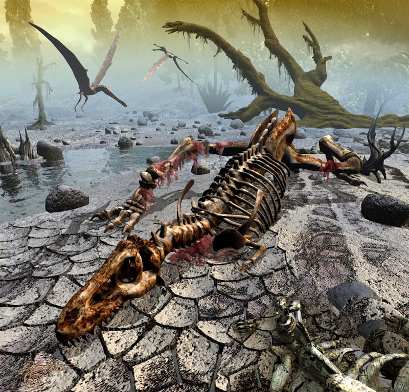 Skeleton of a Tyrannosaurus rex.