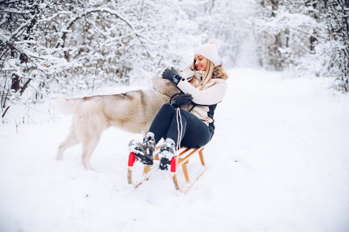A happy woman sits on her sled and plays with her husky on a snow day.