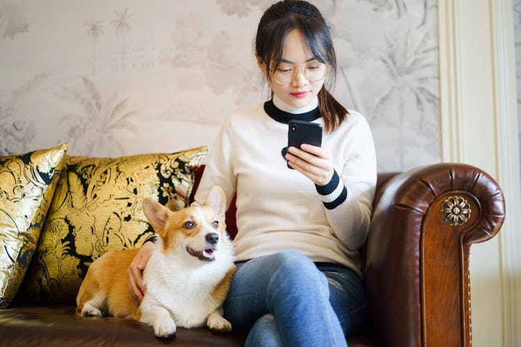 A woman sits on a leather couch with her corgi while scrolling through Instagram on Valentine's Day.