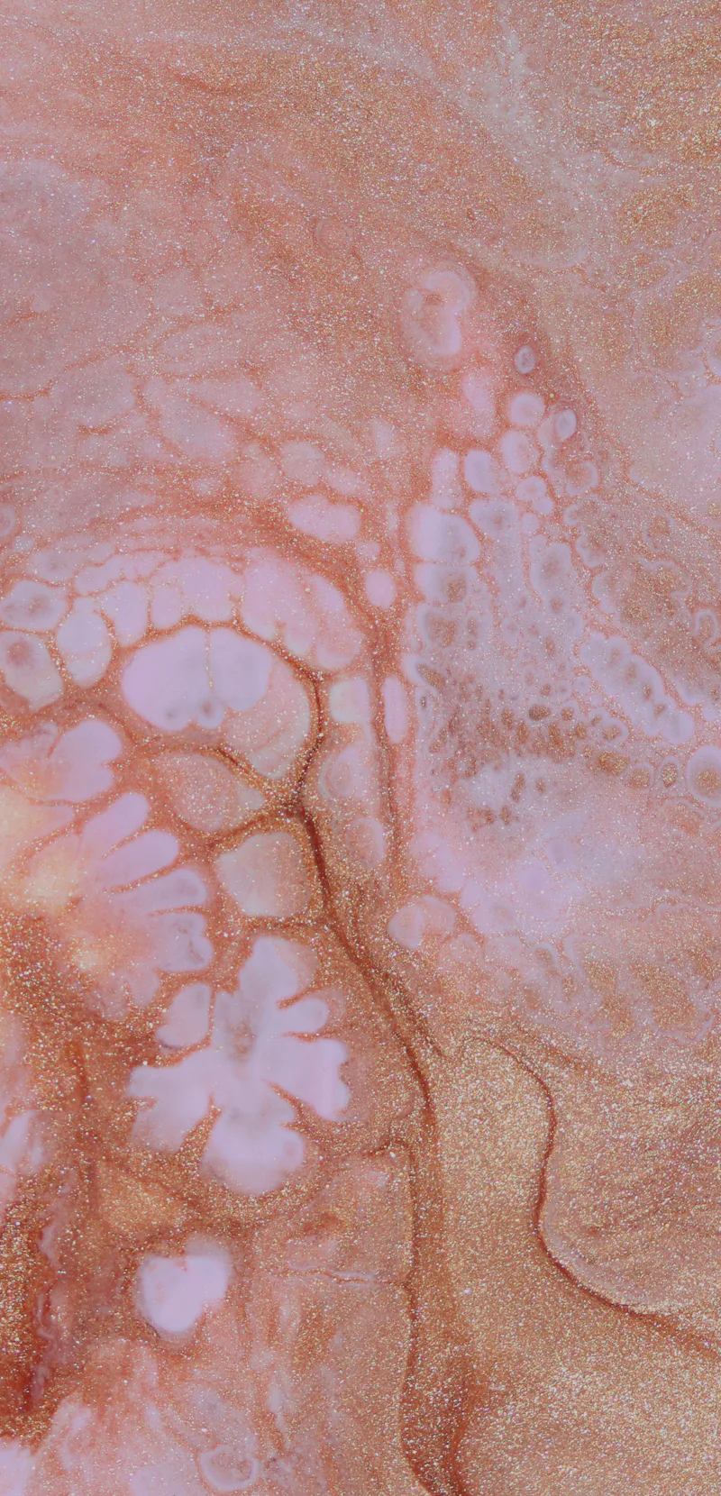 The 8 most incredible science images of the week