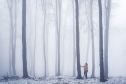 A woman in a foggy forest. Here's what COVID brain fog feels like and what a possible cause might be...