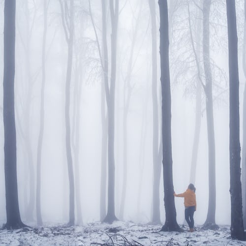 A woman in a foggy forest. Here's what COVID brain fog feels like and what a possible cause might be...