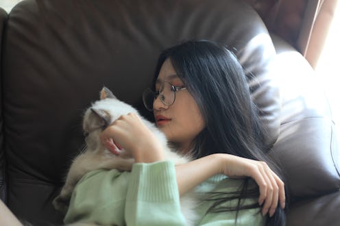 What do dreams about cats mean? An expert explains.