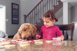 little girl and dog making valentine's day cookies