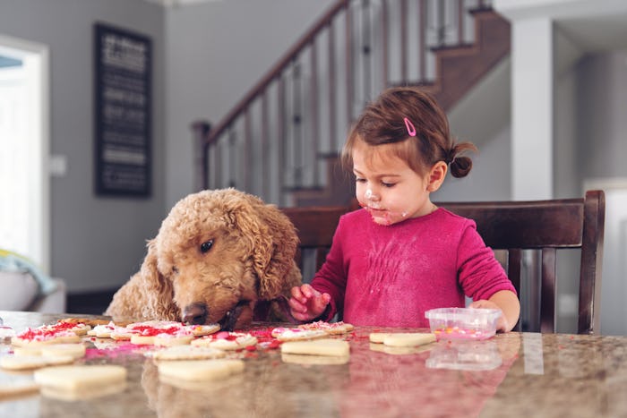 little girl and dog making valentine's day cookies