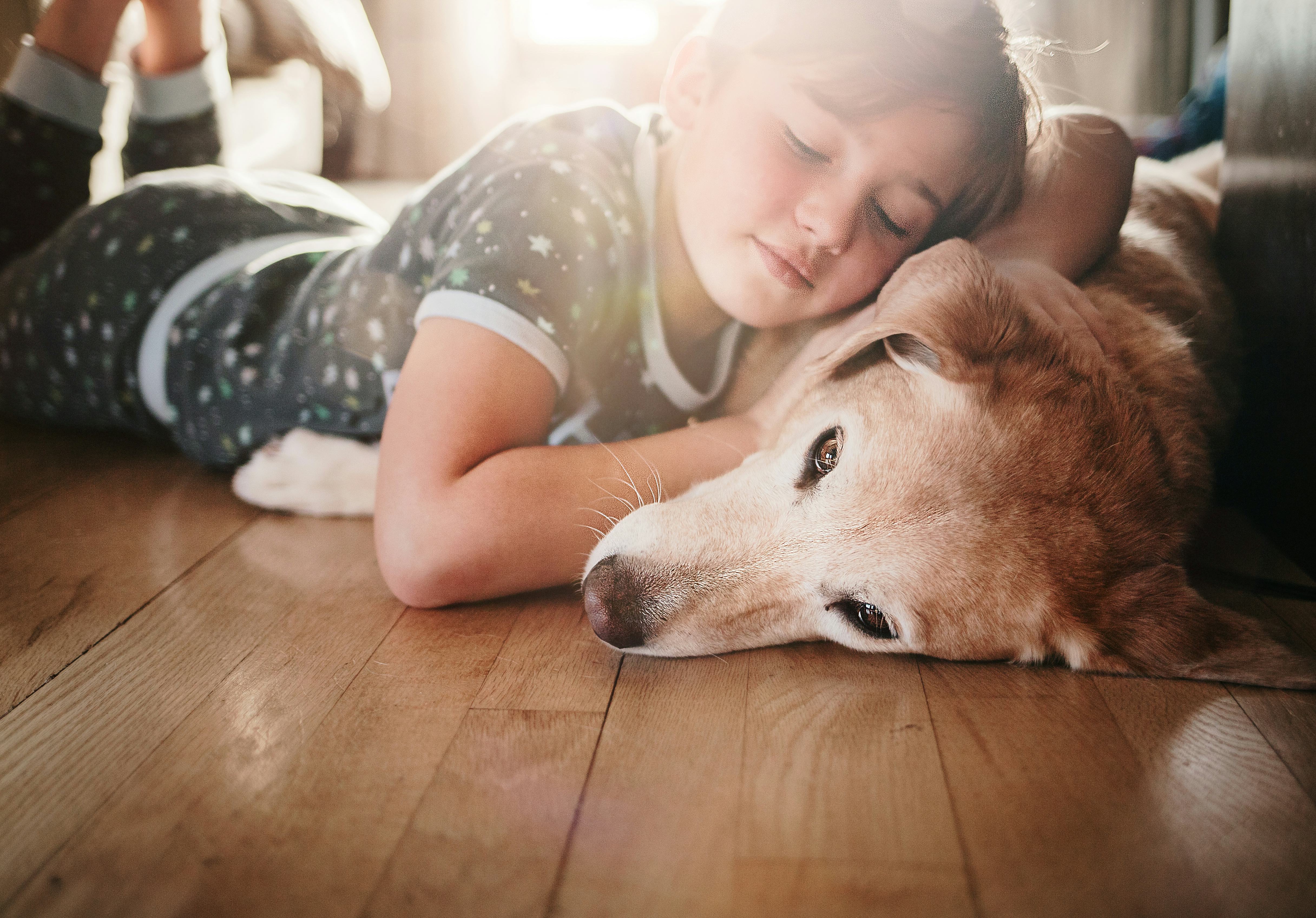 11 Reasons Why Your Dog Is Extra Clingy & Cuddly With You