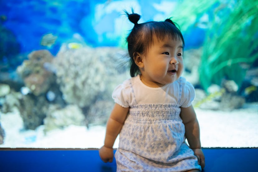 baby girl in front of aquarium