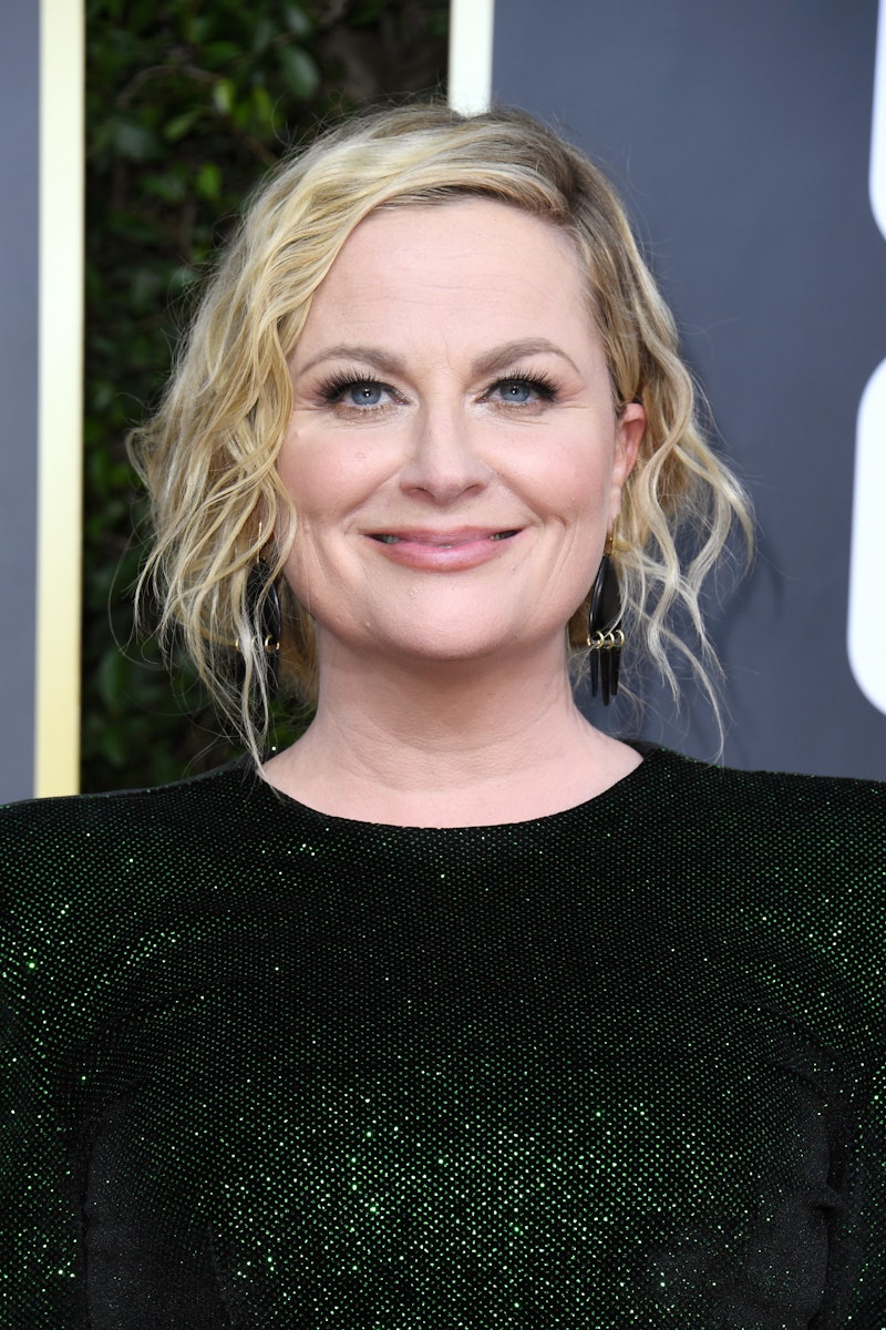 Amy Poehler at the 2020 Golden Globes. Photo via Getty Images