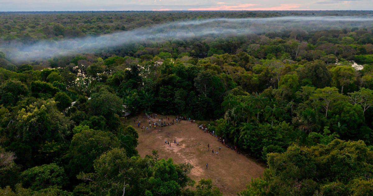 Brokers Are Selling Pieces Of The Amazon Rainforest On Facebook Marketplace Brokers Are Selling Pieces Of The Amazon Rainforest On Facebook Marketplace