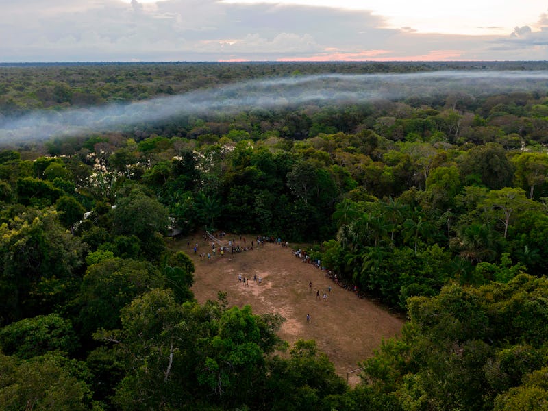 An aerial view of the Amazon rainforest is shown here at sunset.
