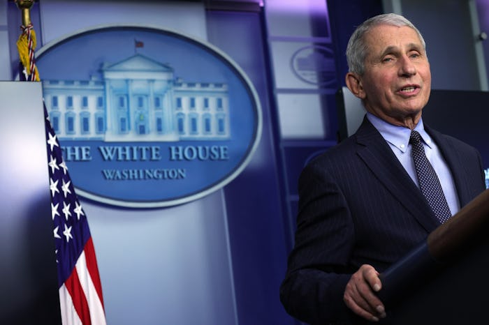 dr anthony fauci
