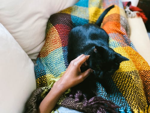 A woman under a blanket pets a black cat. People with chronic illness explain their feelings about f...