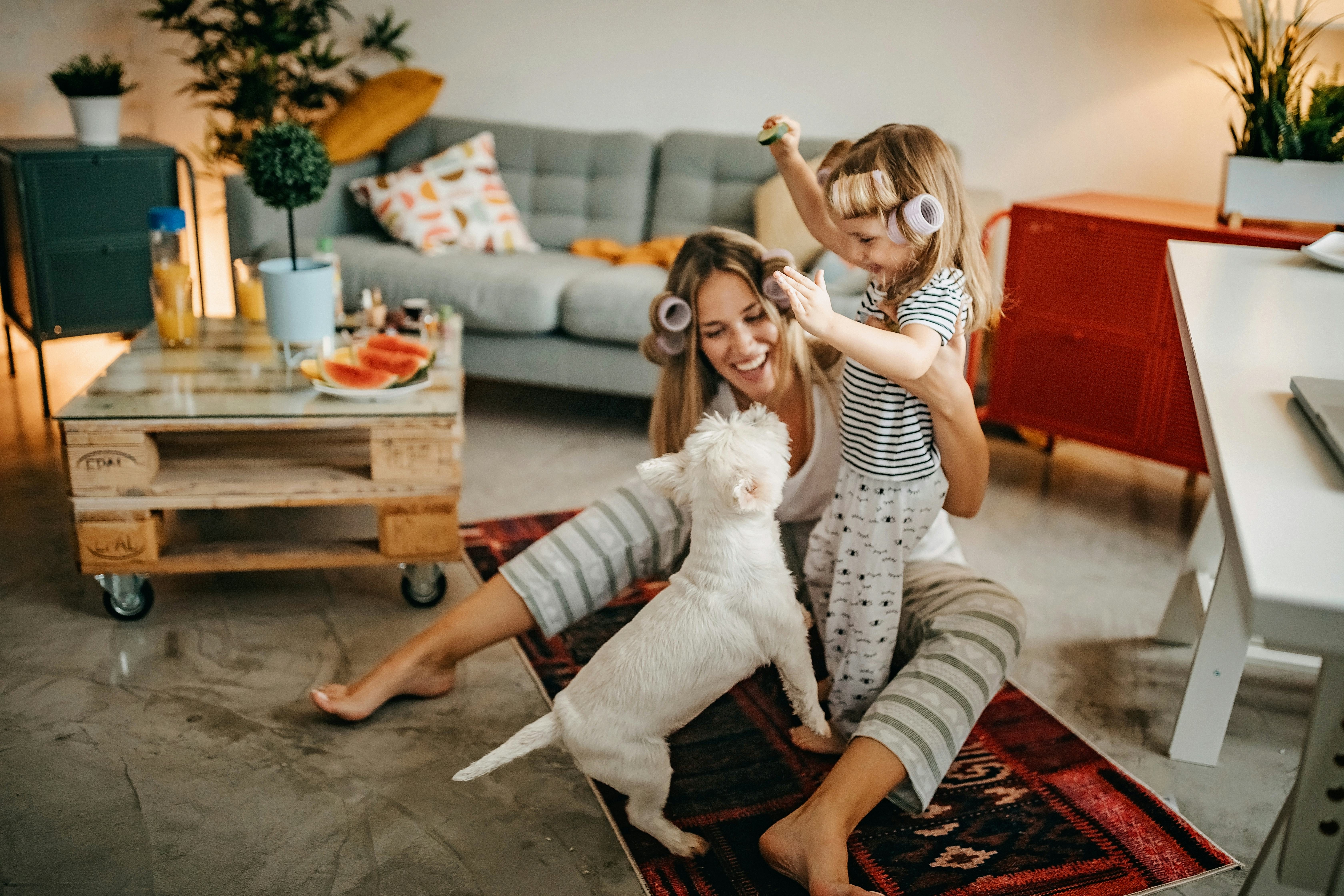 How To Stop A Puppy From Jumping On Your Toddler