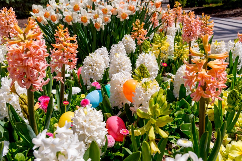 You can hide Easter eggs in flowerbeds for a tricky spot, too.