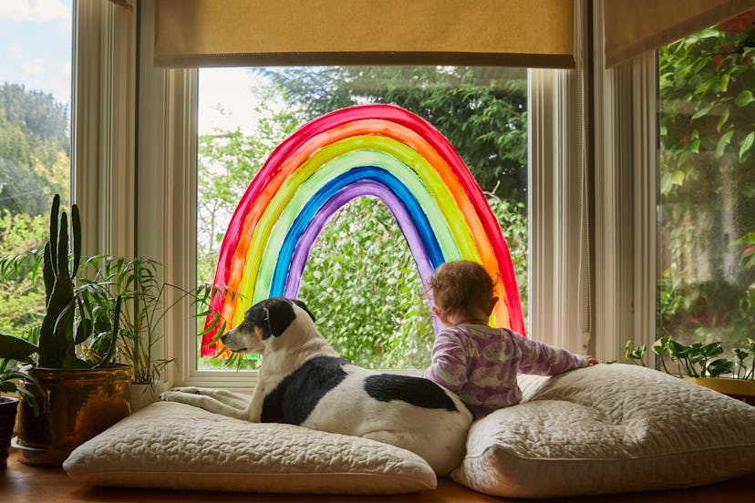 dog and boy sitting on windowsill with rainbow painted on the glass