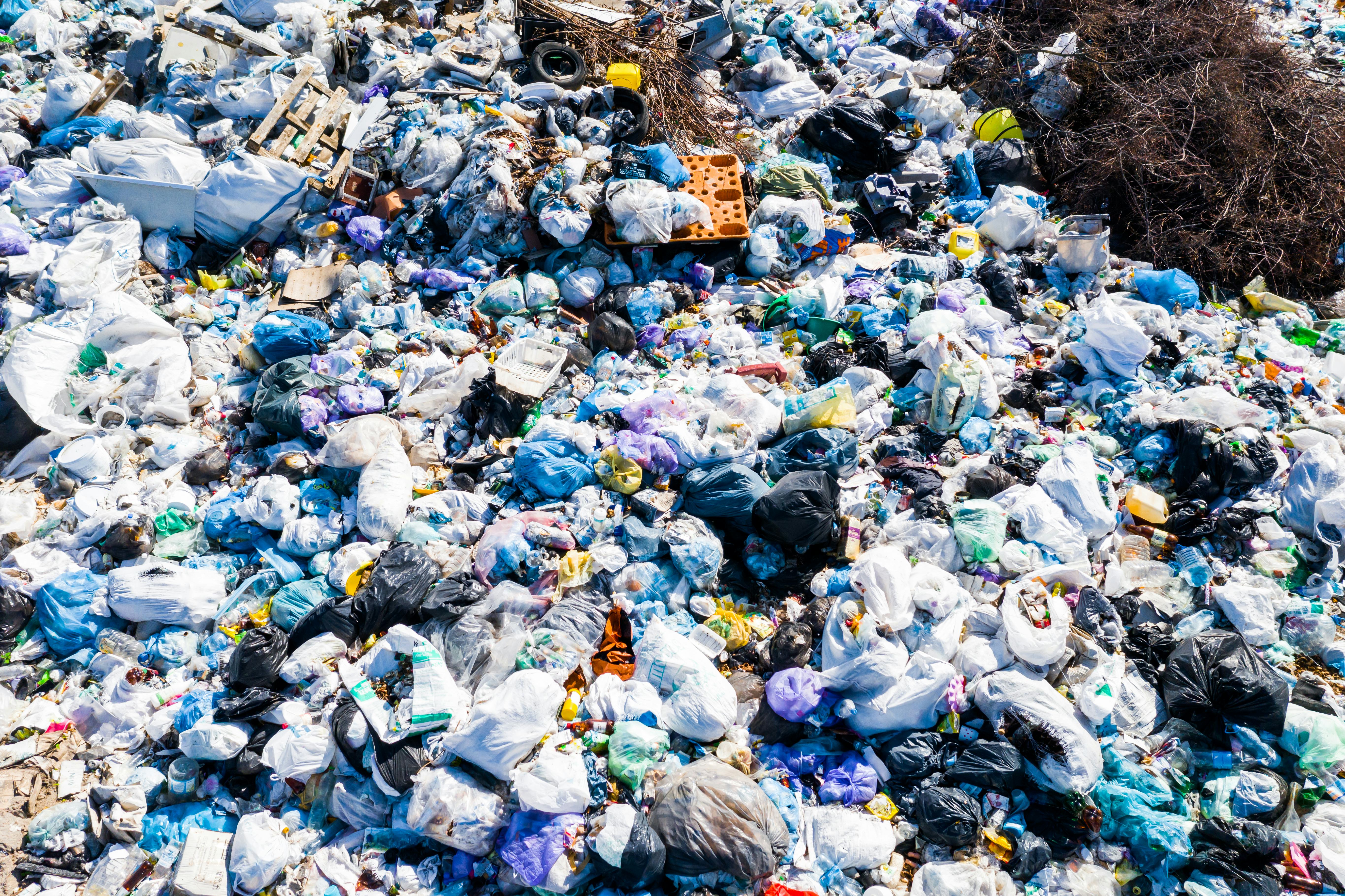 How to declutter your iPhone with iOS 14’s special features