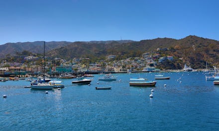 Avalon, California - April 14: A scenic view of moored boats in Avalon Bay with the city of Avalon a...