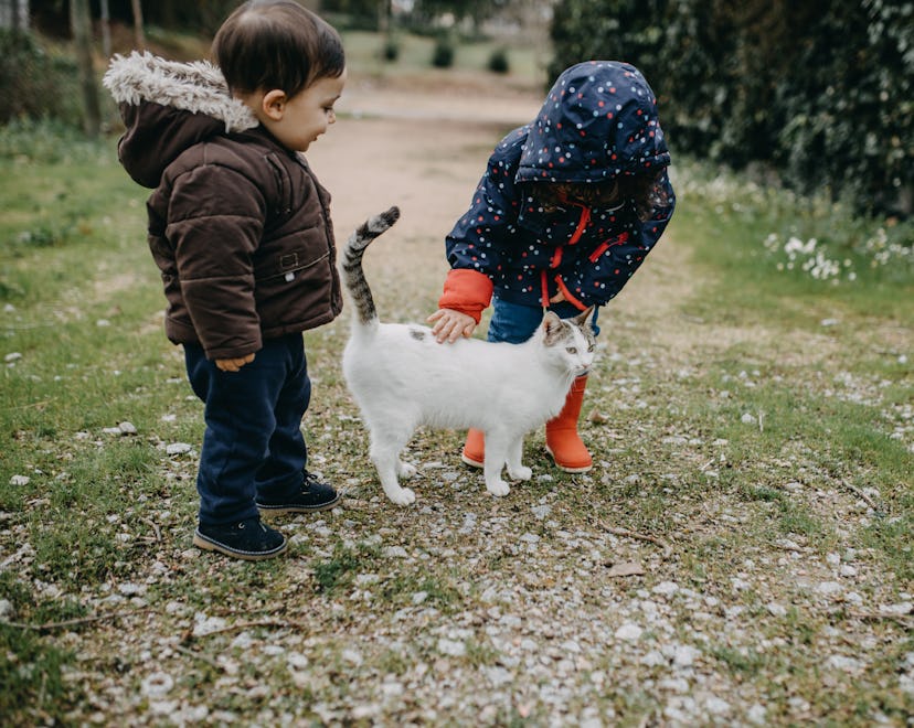 Kids with a cat in a list of April Fools' pranks for cats