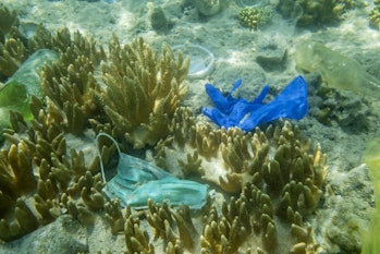 Mask pollution in oceans
