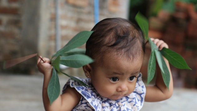 baby girl holding leaves plants