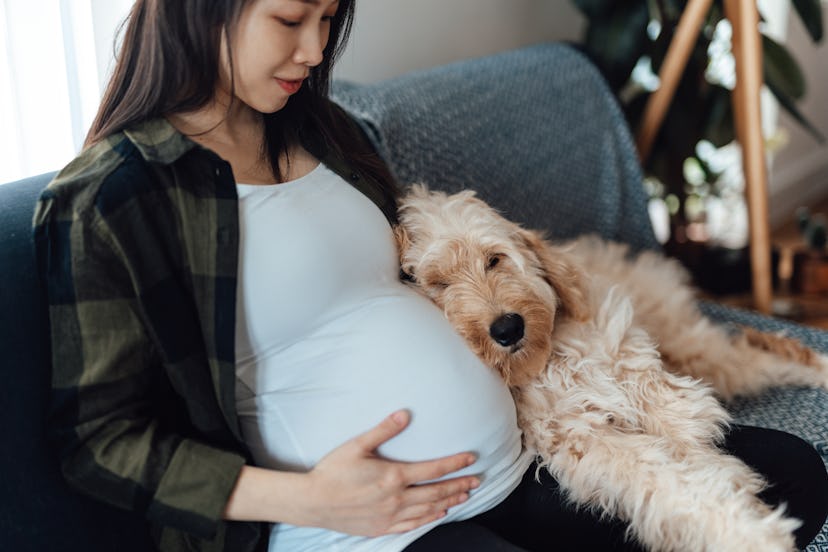 pregnant woman with dog