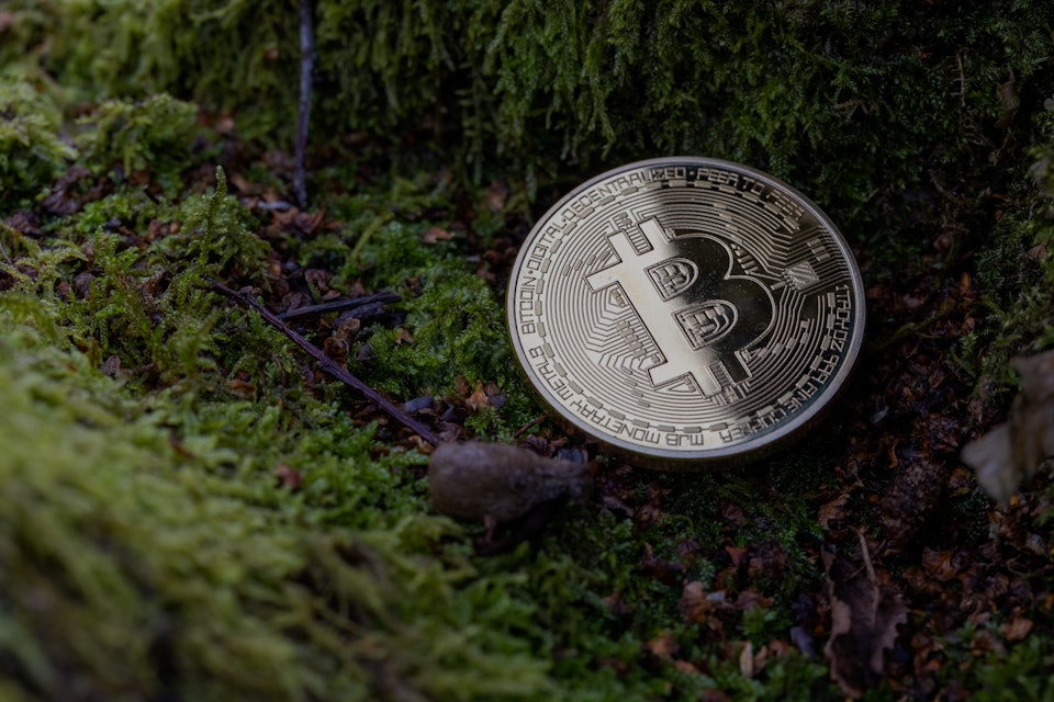 Environmental shots of a physical Bitcoin in 'green' spaces. An abstract conceptual shot of how cryp...