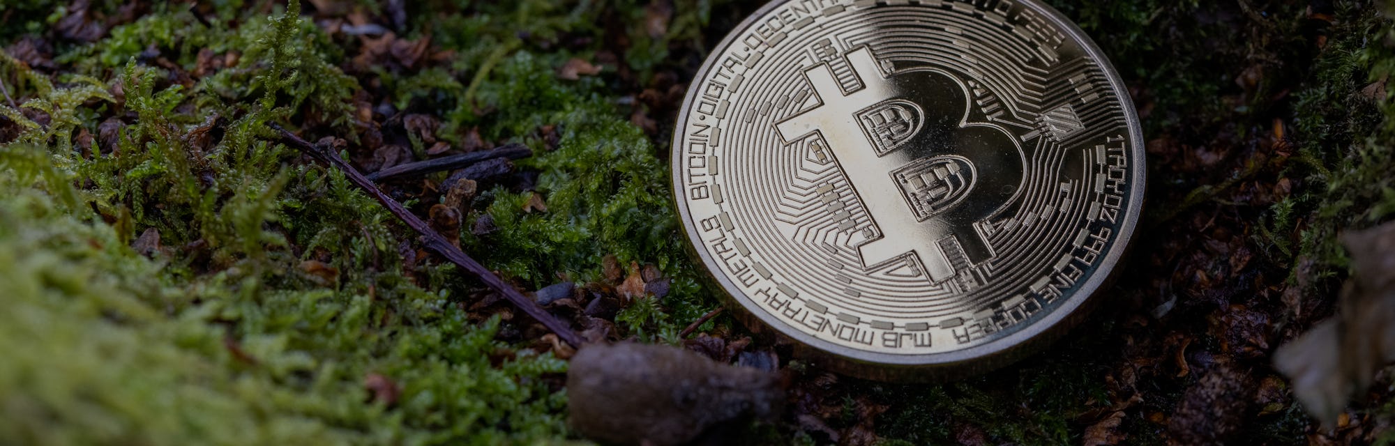 Environmental shots of a physical Bitcoin in 'green' spaces. An abstract conceptual shot of how cryp...