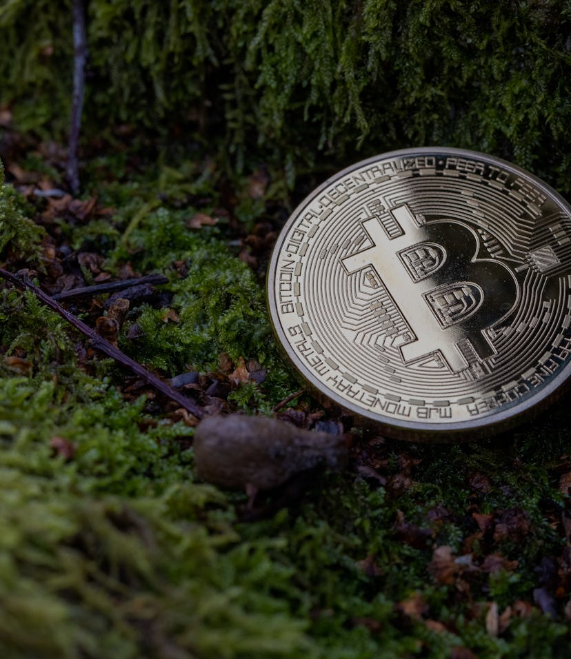 Environmental shots of a physical Bitcoin in 'green' spaces. An abstract conceptual shot of how cryp...