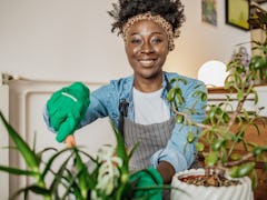 African woman taking care of plants at her home, she is holding a plant and smiling