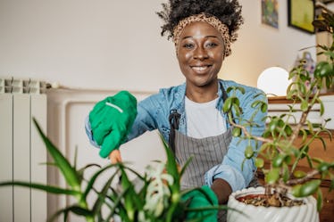 African woman taking care of plants at her home, she is holding a plant and smiling