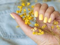 Beautiful woman's nails with beautiful manicure. studio shot