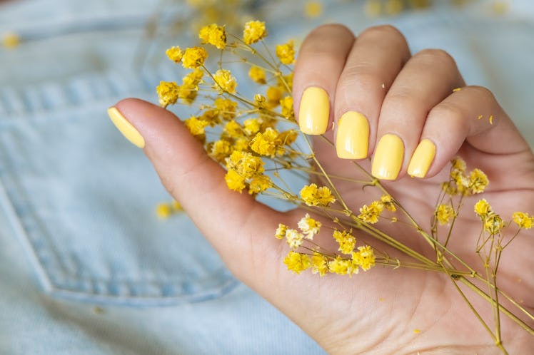 Beautiful woman's nails with beautiful manicure. studio shot