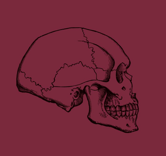 Antique Illustration. Copyright has expired on this artwork. From my own archives, digitally restored.