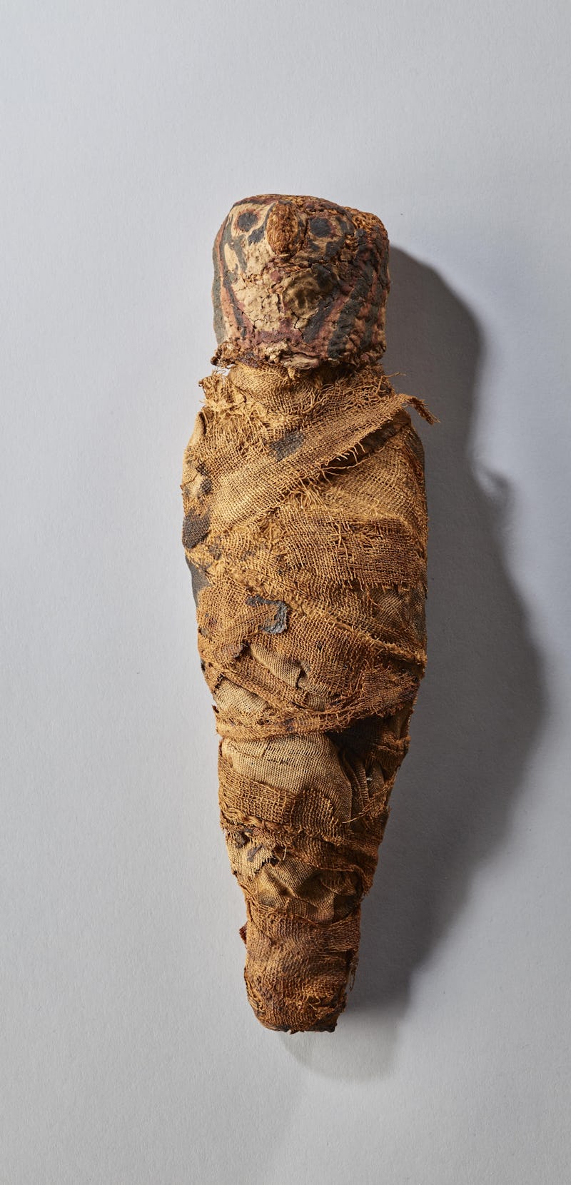 Mummified hawk. Egyptian. 1550-1370 B.C.E. mummified hawk. oil. resin. linen. pigment. 12-1/4 x 3-1/...