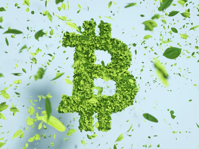Digital generated image of green bitcoin sign made out of leaves against blue background.