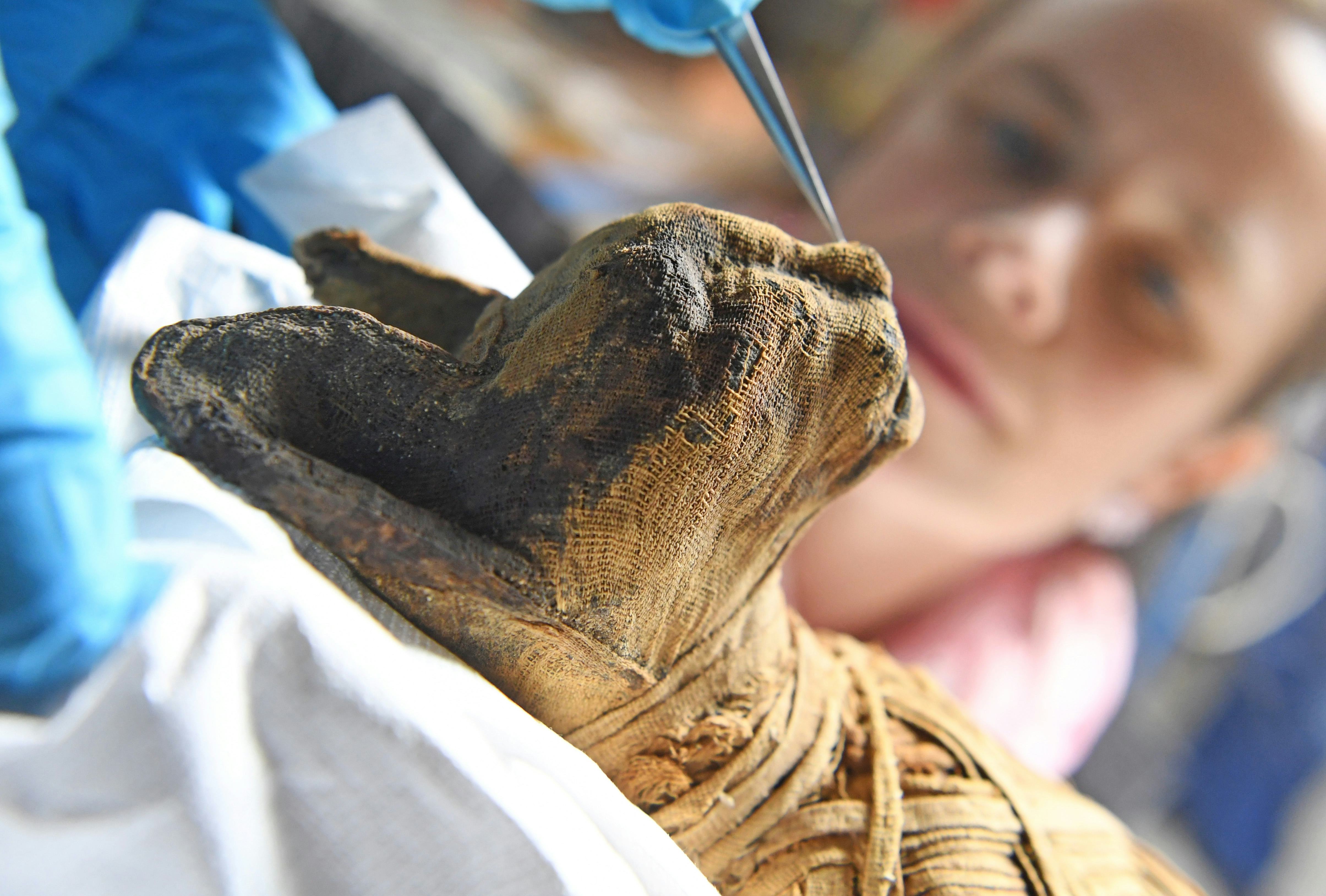 Agnes Krippendorf, a textile restorer at the Badischen Landesmuseum, works on a cat mummy dated back...